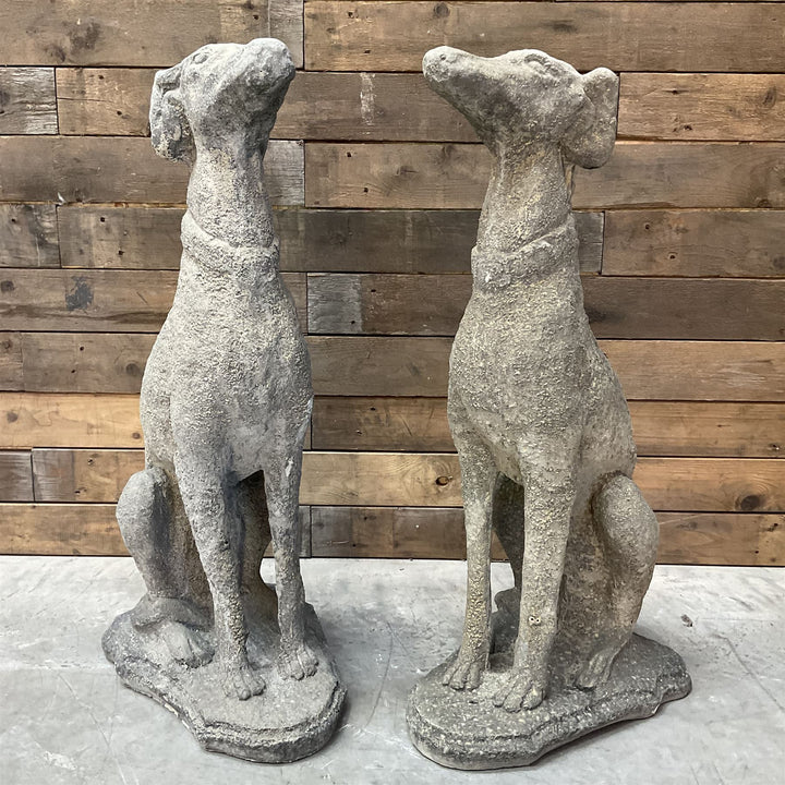 Pair of cast stone French lurchers, seated pose, on shaped plinth