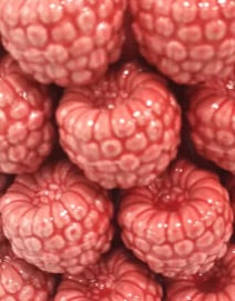 Large Multi Raspberry Vase