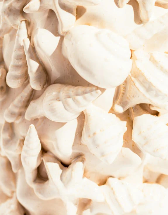 Large seashell vase