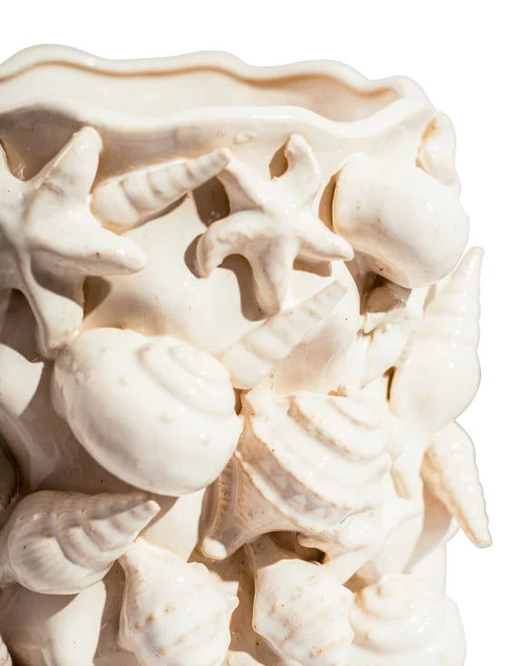 Large seashell vase