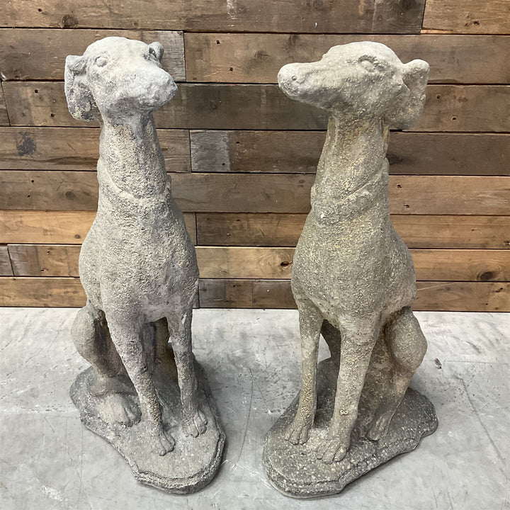 Pair of cast stone French lurchers, seated pose, on shaped plinth