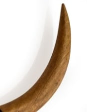 Distressed Black & Wood Tribal Bison Wall Head