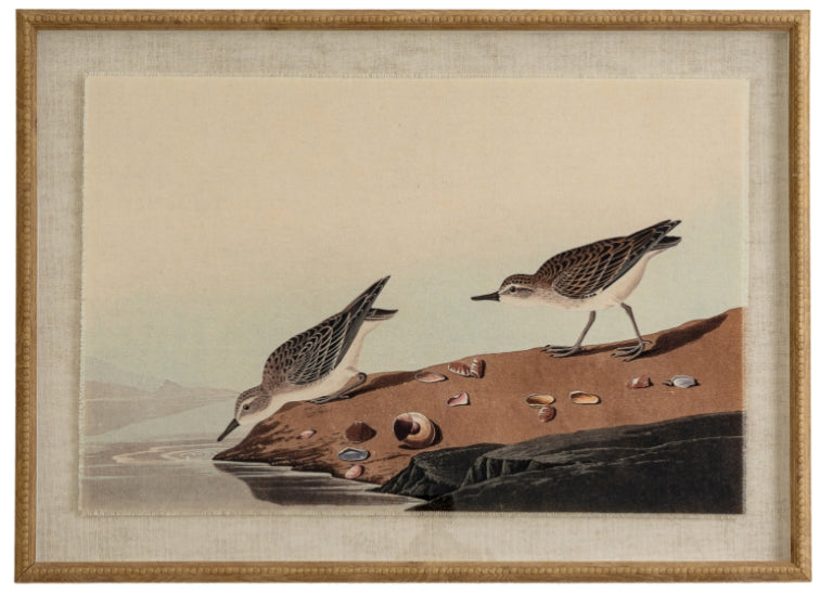 Flora & fauna collection stints on linen in beaded frame