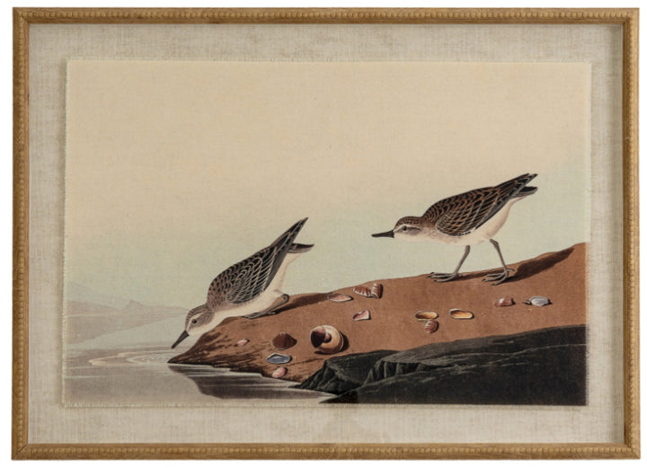 Flora & fauna collection stints on linen in beaded frame