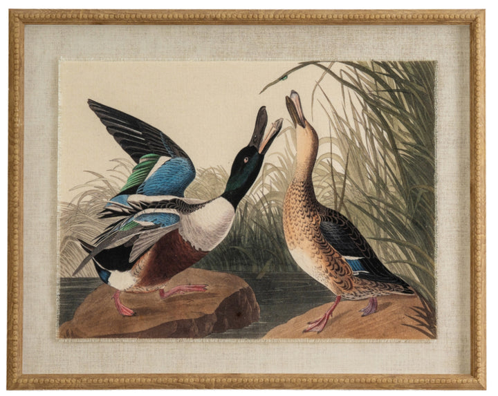Flora & Fauna Collection Mallards On Linen In Beaded Frame