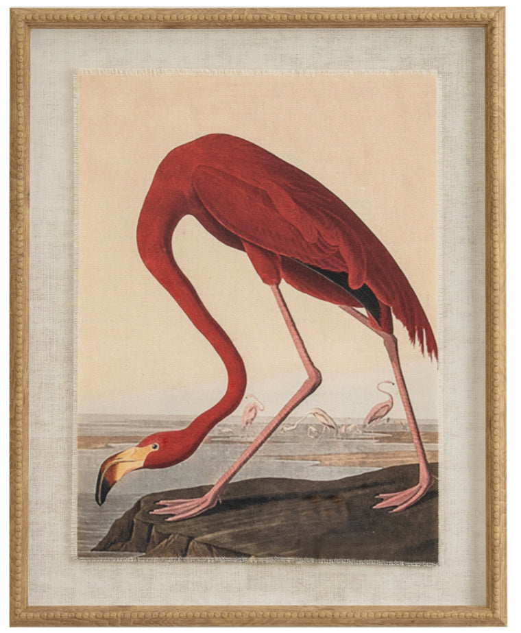 Flora & Fauna Collection Flamingo On Linen In Beaded Frame