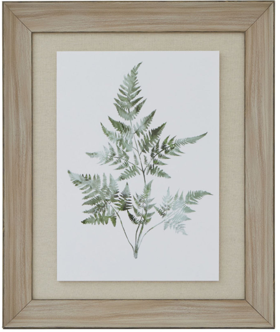 Watercolour Bracken Fern In Washed Wood Frame