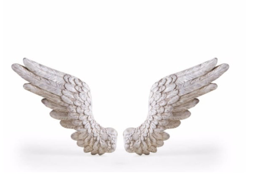 Pair of antique white angel wings wall decor