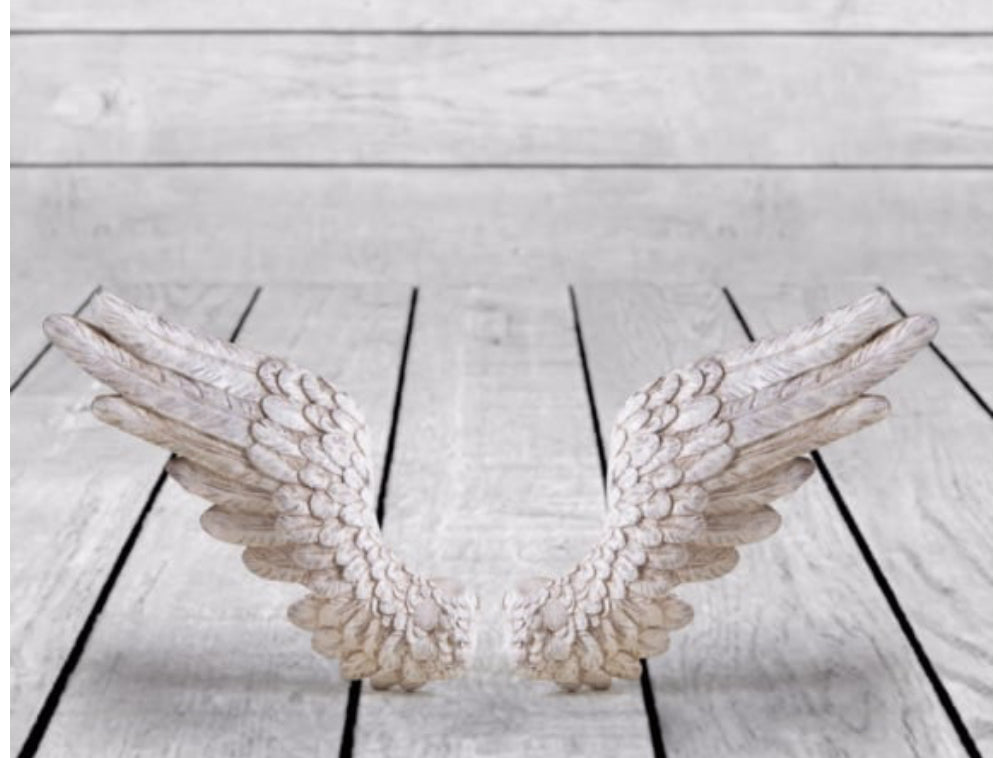 Pair of antique white angel wings wall decor