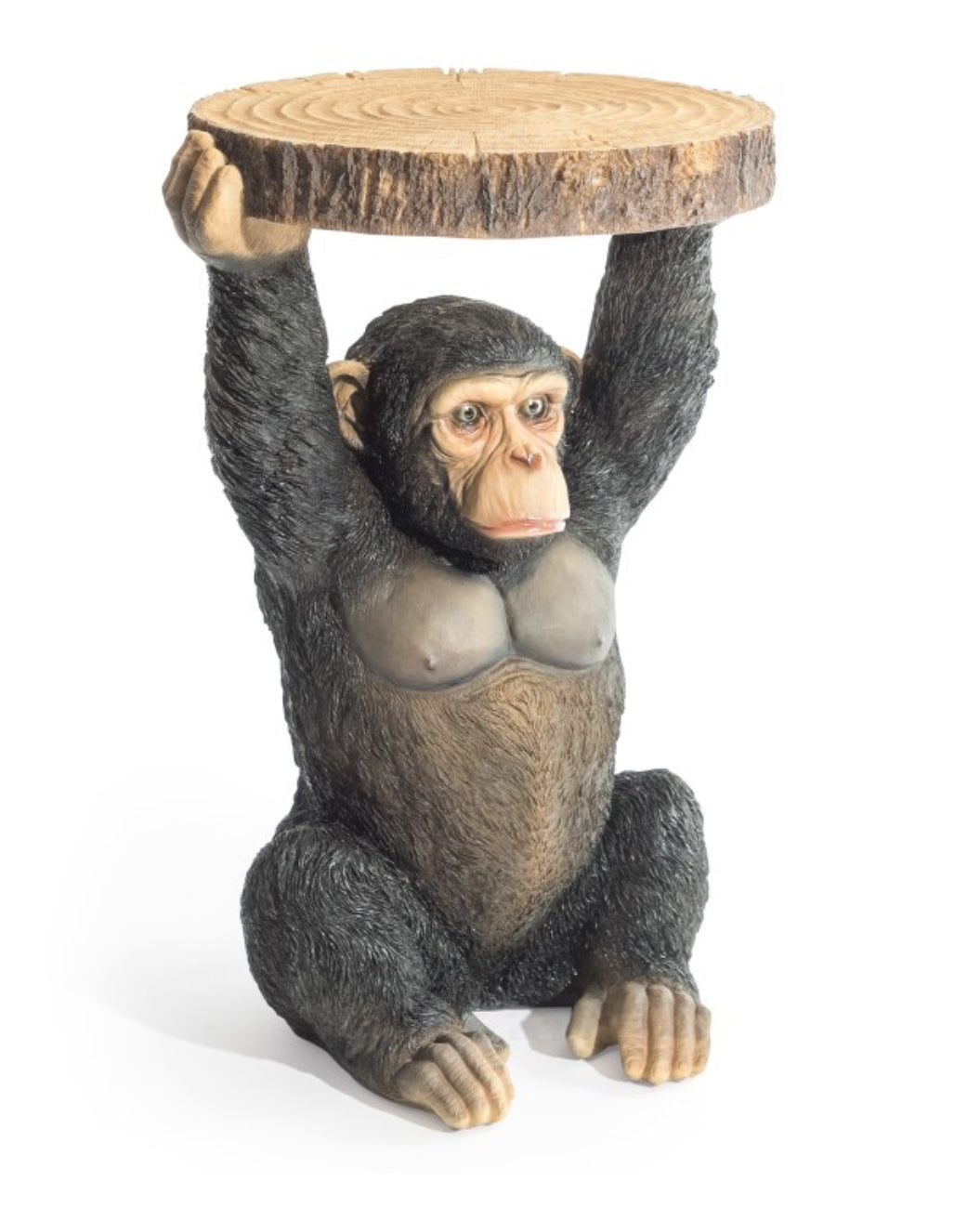 Chimpanzee holding trunk slice side table